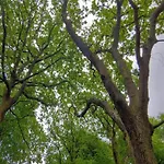 6 Person In Oksbol-by Traum Oksbøl