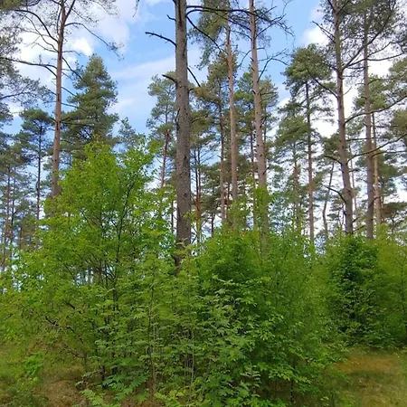 6 Person In Oksbol-by Traum Oksbøl