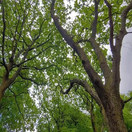 6 Person In Oksbol-by Traum Oksbøl