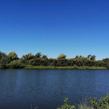 6 Person In Oksbol-by Traum