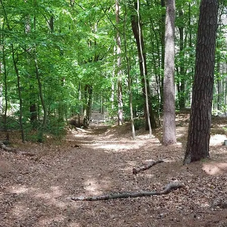 Casa vacanze 6 Person In Oksbol-by Traum *