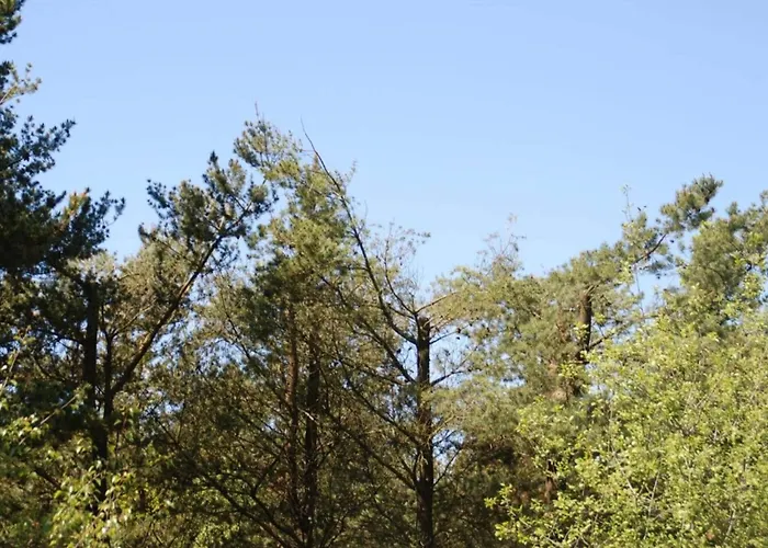 6 Person In Oksbol-by Traum Nyaraló *