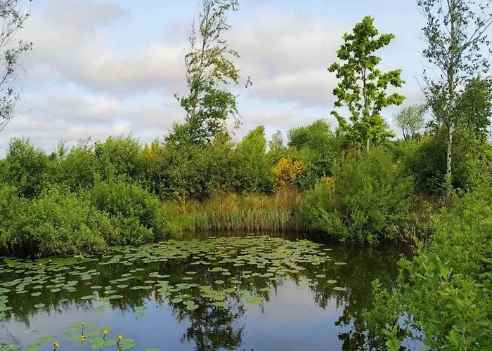 6 Person In Oksbol-by Traum Nyaraló Oksbøl