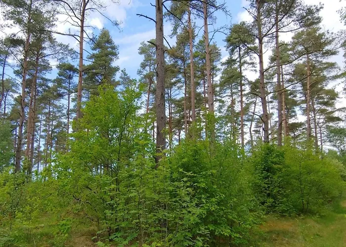 6 Person In Oksbol-by Traum Oksbøl