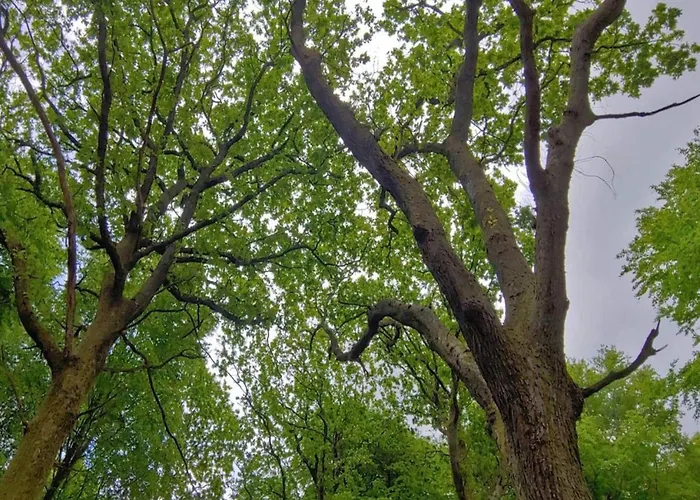 6 Person In Oksbol-by Traum Oksbøl