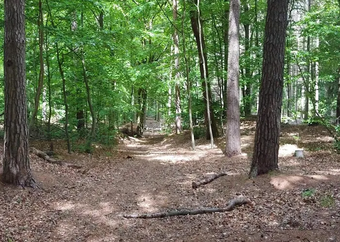 Nyaraló 6 Person In Oksbol-by Traum *